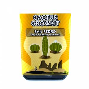 San Pedro Grow Kit (Trichocereus pachanoi)